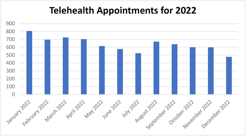 telehealth appointments for 2022
