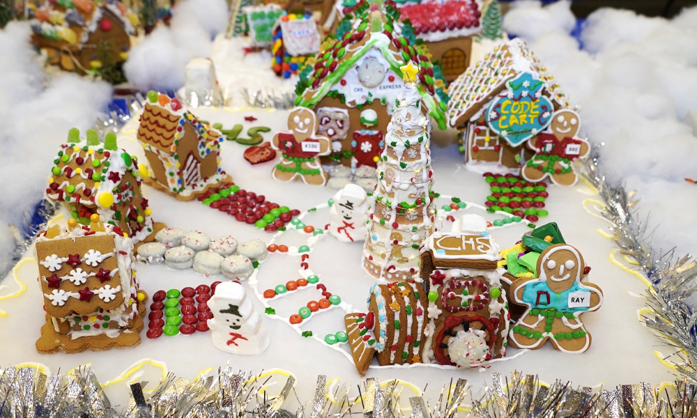 gingerbread house Snow Day at NIH