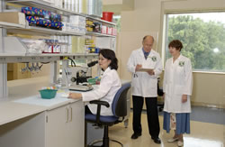 Laboratory