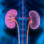 Medical scan of kidney