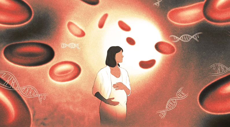 Illustration of a pregnant woman surrounded by blood cells