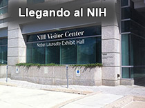 Arriving to the NIH