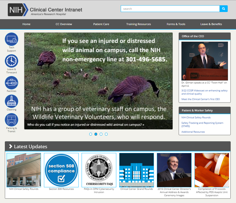 Screenshot of Intranet Webpage