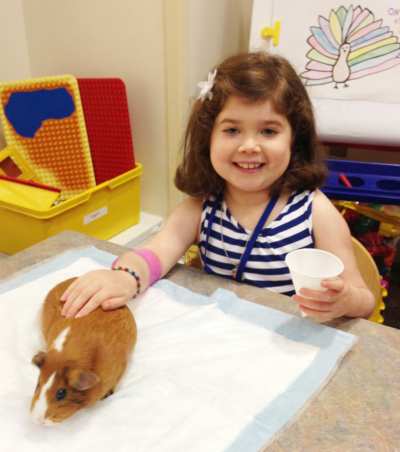 Young girl sitting, pets a Guinea pig on a table