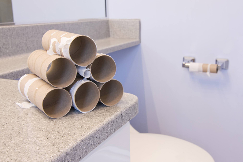 Picture of empty toilet paper rolls