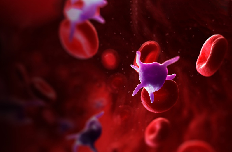 medical illustration close up of cells