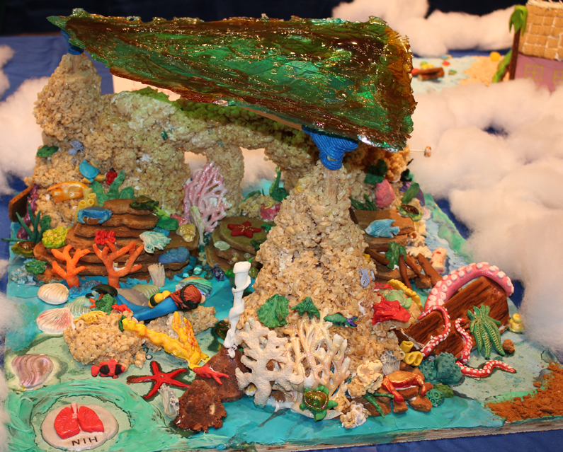 2nd place Inaugural Kids' Choice category gingerbread house winner
