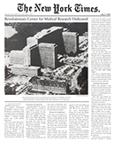 The New York Times News Article