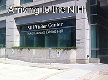 Arriving to the NIH