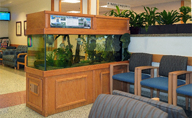 NIH Clinical Center Phlebotomy Waiting Area
