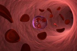 medical illustration depicting a close-up of red cells
